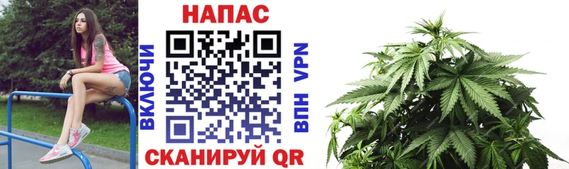 Какие есть наркотики Шахты СК  МЕФ  ГАШ 