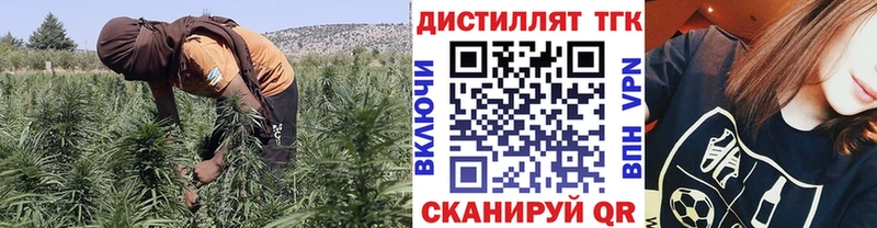ТГК THC oil  цена   Шахты 