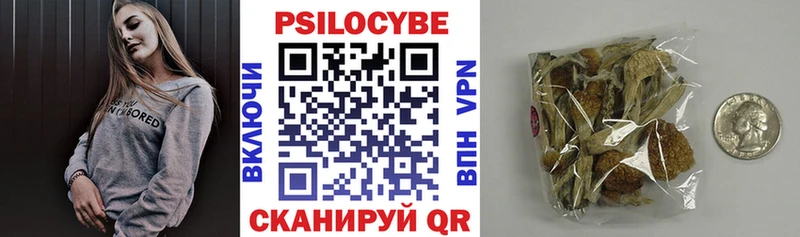 Галлюциногенные грибы Psilocybine cubensis  где купить наркоту  Шахты 