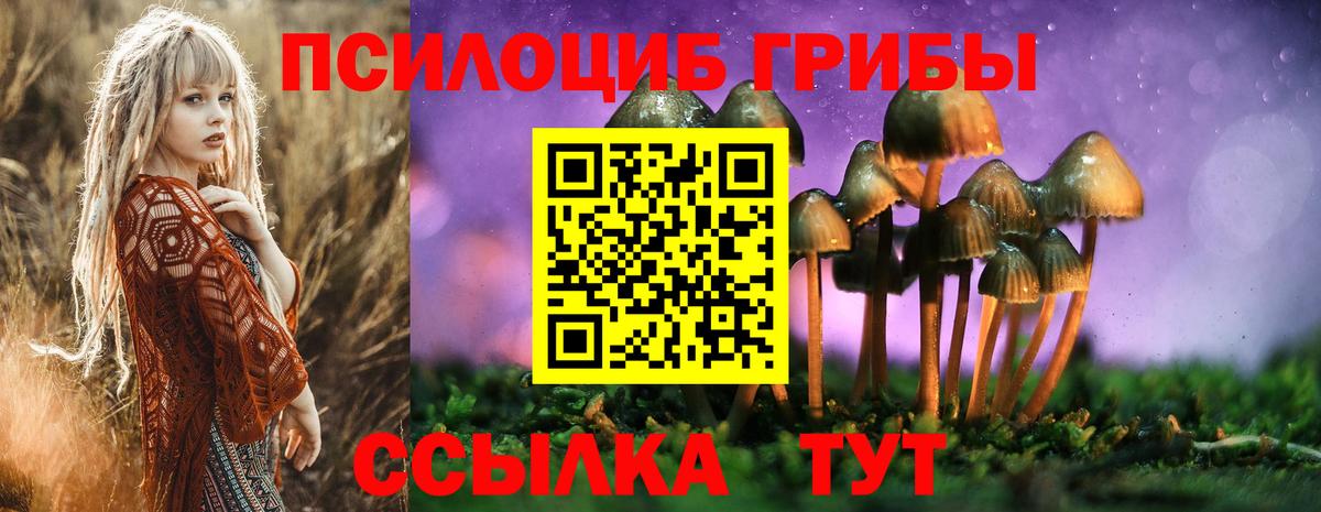 Галлюциногенные грибы Psilocybine cubensis Шахты