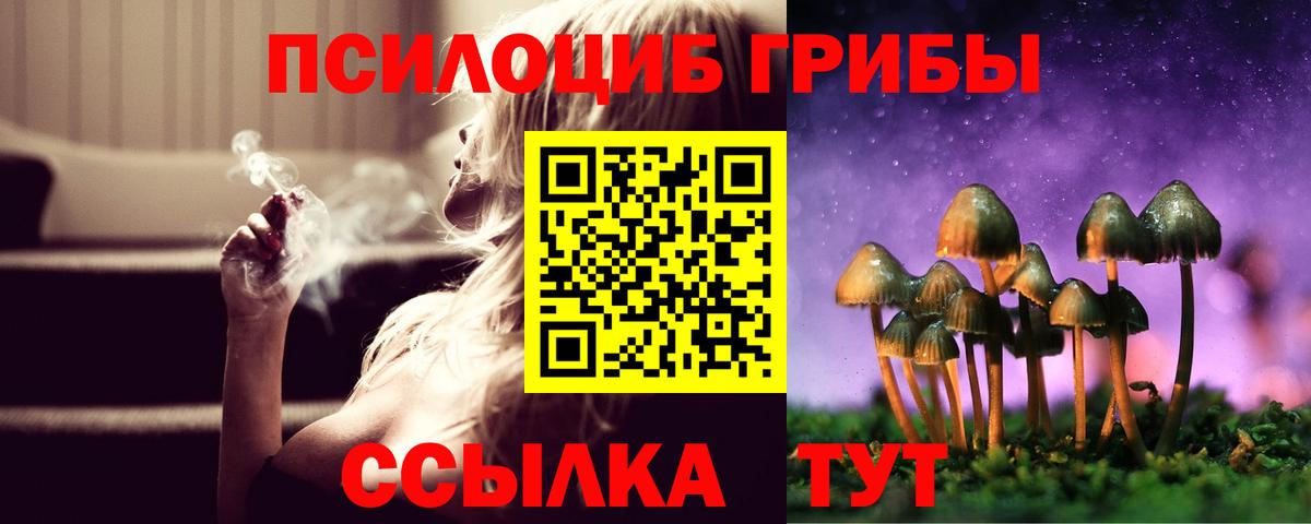 Галлюциногенные грибы ЛСД  Вход с VPN  Шахты 