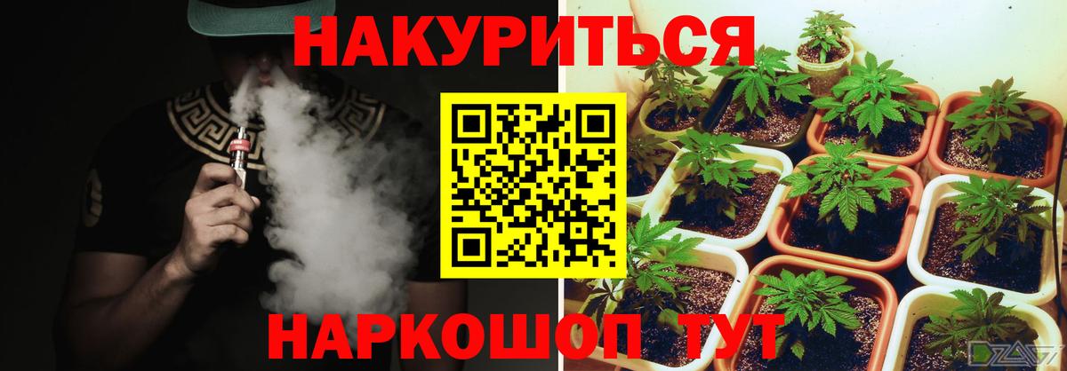 Шишки марихуана OG Kush Шахты